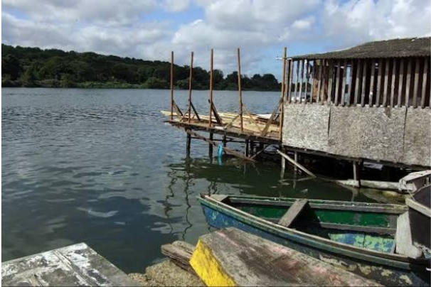 Feto é encontrado sem vida em área de mangue na cidade de Cubatão